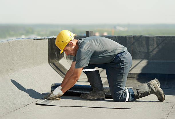 Best Home Insulation Services  in Laupahoehoe, HI
