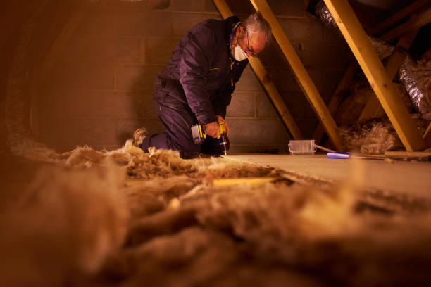Best Insulation Installation Cost  in Laupahoehoe, HI